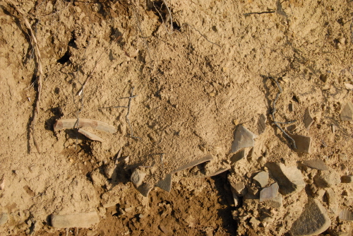 흙속에 묻혀있는 도자기 파편 옹기 파편이 땅속에 묻혀있습니다. 그 당시 사용했던 숯덩이도 나옵니다.