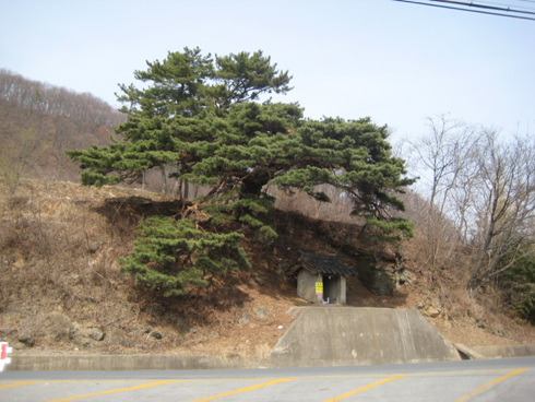 미륵 석장승 주변 도로변 언덕 위에 모셔져 있다.