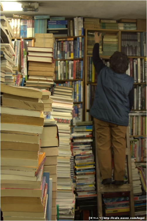 다른 책손이 찾는 책을 꼭대기에서 꺼내려고 사다리를 받고 올라간 <공씨책방> 아주머니.