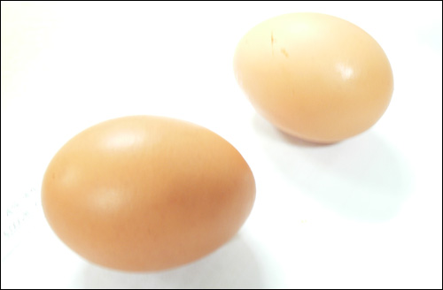 창원에 사는 김아무개씨 부인이 지난 2일 창원 봉곡시장에서 산 계란으로, 계란 1개에 노른자위가 2개씩 들어 있었다.