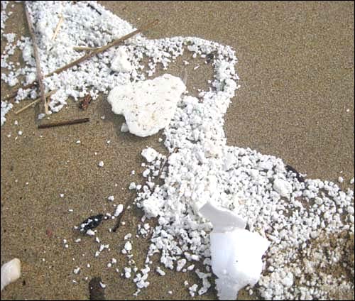 충남 태안 앞 바다에서 기름유출사고가 재발한 가운데 해안가로 떠밀려 온 식물성 기름인 팜유