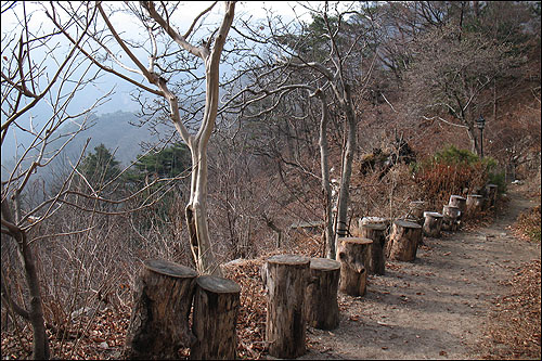  심우정사 앞에 줄지어선 나무 의자들. 