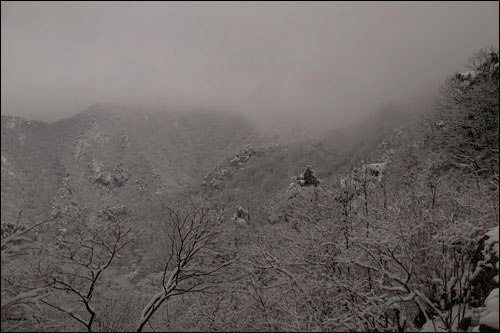  눈 내리는 계룡산 황적봉 - 쌀개봉  능선.