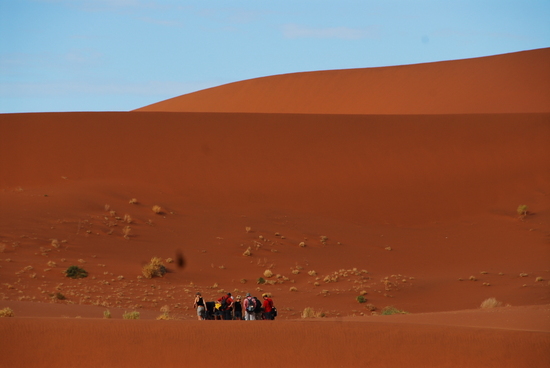 나미브 사막