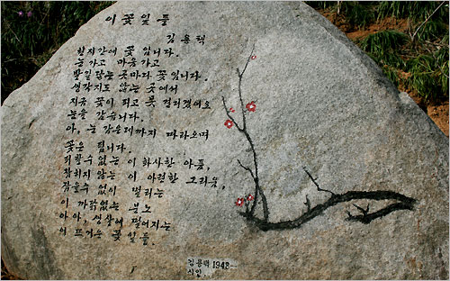 새겨진 글은 섬진강 시인 김 용택님의 시 '이 꽃잎들'이다.