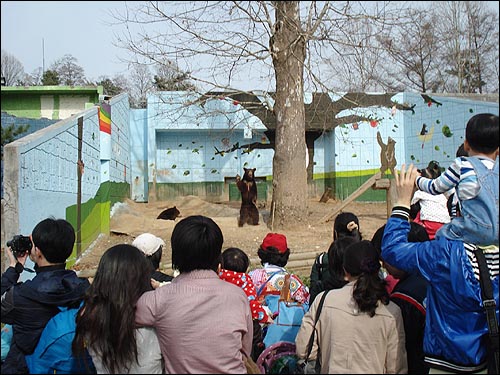 서울 광진구 능동에 있는 어린이대공원. 21일 오후 화창한 봄날에 많은 사람들이 아이들과 함께 이곳에 찾았다. 겨울 잠에서 깨어난 곰도 사람들에게 손을 흔들면서 즐겁게 해주고 있다. 