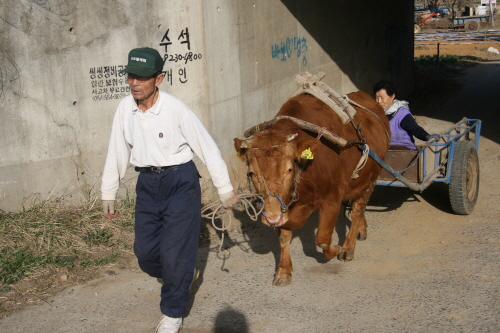 굴다리를 지나는 모습  -