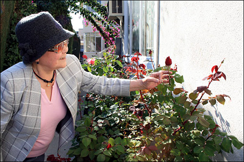 앞마당에 핀 장미꽃을 바라보며 즐거워하는 마사코씨.
