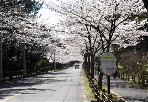  한라수목원입구 도로풍경