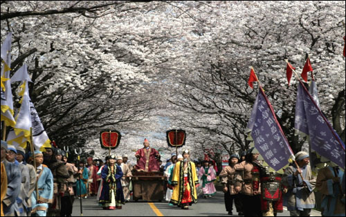 일본으로 향하는 왕인박사 행렬은 영암왕인문화축제의 하이라이트다. 벚꽃과 어우러진 행렬이 화려하다. 사진은 2007년 축제 때 모습이다.