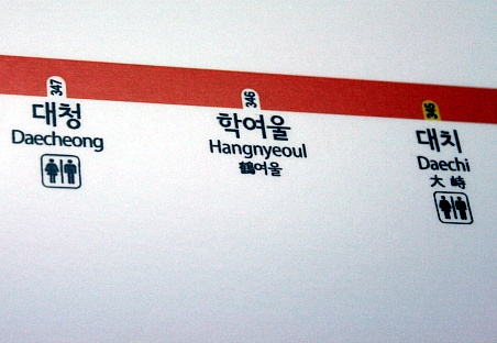 서울시내의 지하철역은 한자어로 구성된 역과 한자어가 아닌 우리말표기역이 있다. 가운데 학여울역은 날아다니는 학(鶴)과 물살이 세차게 흐르는 '여울'이라는 단어가 합성됐다. 반은 한자어이지만 반은 우리말, 순수 우리말은 아니다. 그래서 이렇게 한자와 우리말 표기가 혼용된 한자어표기가 나왔다. 그러나 실제로 학여울 역에 가면 '鶴여울' 표기가 없다. 혼동되지 않도록 지하철 당국의 확인이 필요한 부분이다