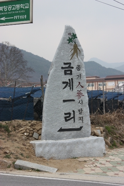 금계리  풍기인삼의 최초 재배지 금계리 