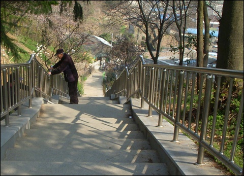  공원에서 절골로 내려가는 계단입니다. 햇볕을 많이 받아서인지 주변에 벚꽃이 활짝 피어있었습니다. 
