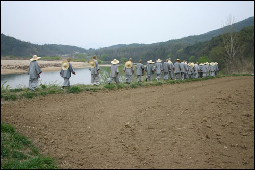 안동 하회마을의 낙동강변을 걷고 있는 비구니 스님들의 모습.