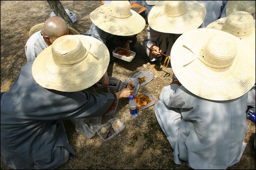 낙동강 답사에 나선 비구니 스님들이 김치와 주먹밥을 놓고 점심을 먹고 있다.