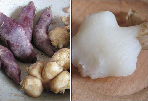 최씨가 간식으로 즐겨먹는 적색고구마와 돼지감자. 오른쪽 사진은 돼지감자의 껍질을 벗긴 모습이다.