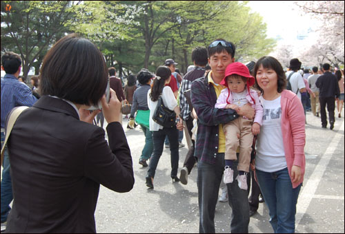 벚꽃 축제가 열리는 여의도 윤중로에서 즉석 사진을 찍고 있는 이지수 기자.