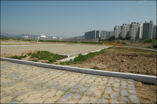 '낙동강 화명지구 하천환경 정비사업'의 하나로 조성된 광장(왼쪽)이며, 저 멀리 화명동 아파트 단지가 보인다.