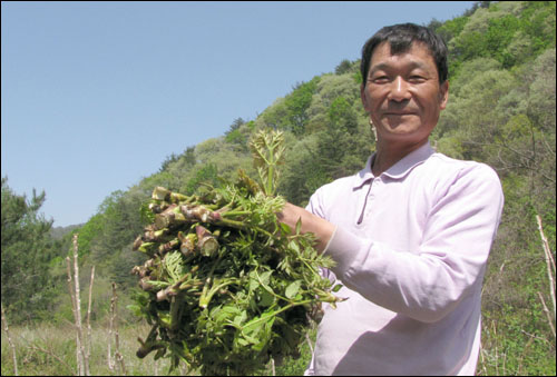 백아산 대판골에서 산나물을 재배하고 있는 김규환 씨가 채취한 두릅을 들고 환하게 웃고 있다.