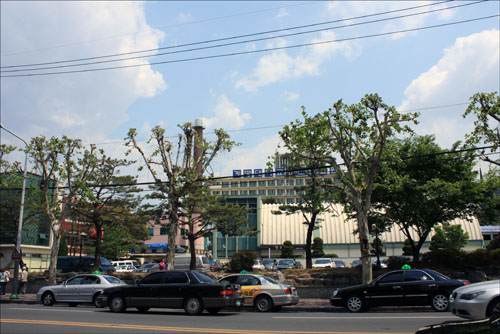 서문시장 맞은편의 동산 그리 높지는 않아도 본래는 산이었건만, 지금은 동산병원, 신명학교, 선교사 숙소, 교회 등이 가득 들어차 사진상으로는 산이라는 느낌조차 들지 않는다. 