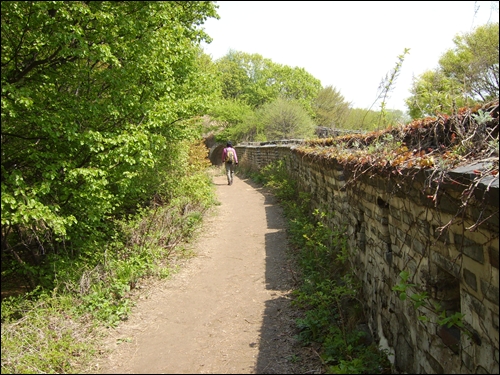 성벽 따라 걷는 활엽수길