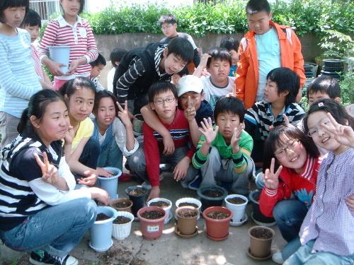 부곡초 5학년 어린이들이 화분에다 희망의 꽃씨를 심었다.