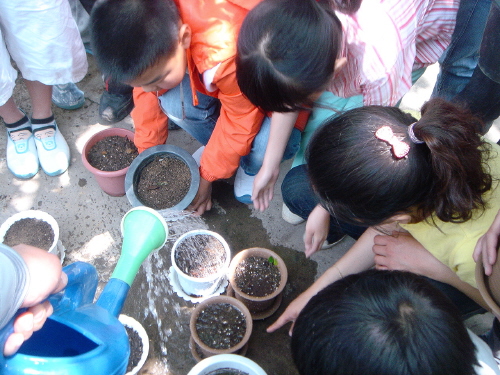 평소 관심을 두지 않은 식물가꾸기, 그러나 아이들에게는 소중한 체험이다.  