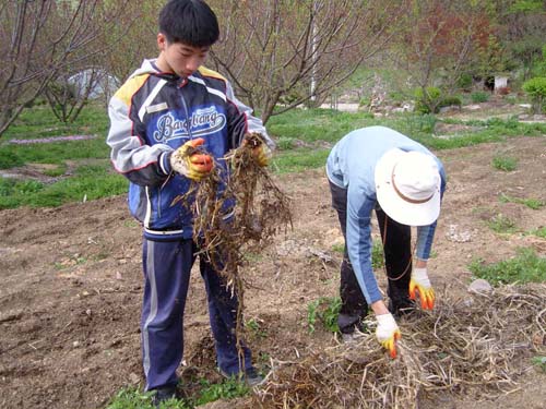  남자 선생님이 두엄펴는 방법을 설명하고 있다.