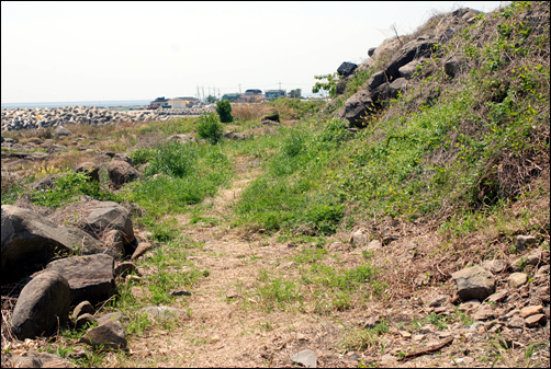 주민들은 중덕해안을 살리기 위해 오솔길을 정비하고, 이 길을 제주올레코스에 포함시켜 줄 것을 건의했다.