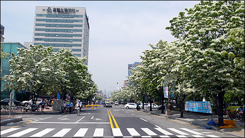 지난 토요일(5월 9일) 대전 유성에서 'Yes! 5월의 눈꽃축제'의 일환으로 개최되었던 ‘2009 전국 자전거 타기 대행진 및 고속도로 대회’엘 참석했습니다.
