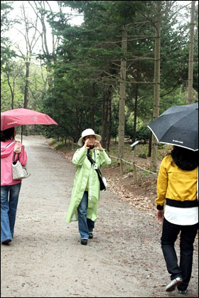 숲 해설가가 참가자들에게 길을 안내하고 있다.