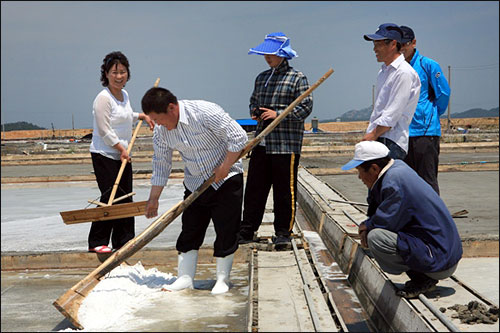  토판 염전의 첫소금을 축하하는 작목반 동료와 가족들