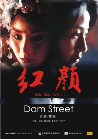 젊은 여성감독 리위의 2005년 영화 <홍옌>의 포스터. 영문 이름은 DAM Street이다. 