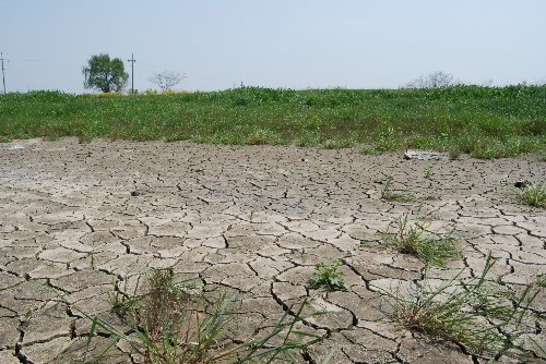 벽골제 가상자리 바닥이 봄 가뭄으로 갈라진 모습