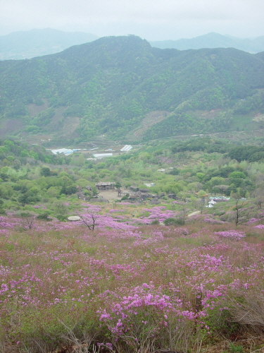  성벽에서 보이는 영화 주제공원