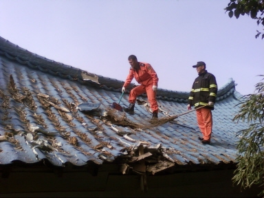 고목 제거후 파손된 지붕을 확인하며 마무리 작업중이 구조대원