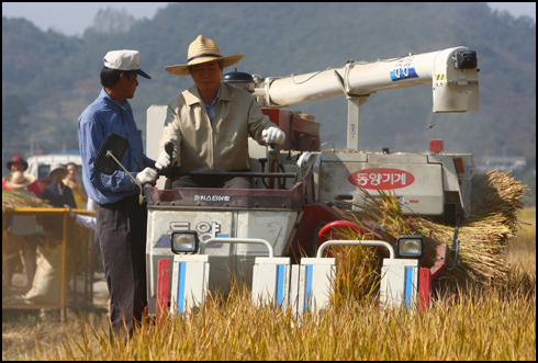 봉하오리쌀 수확날 컴바인을 모는 밀짚모자 노무현 전 대통령(2008. 10. 20) 