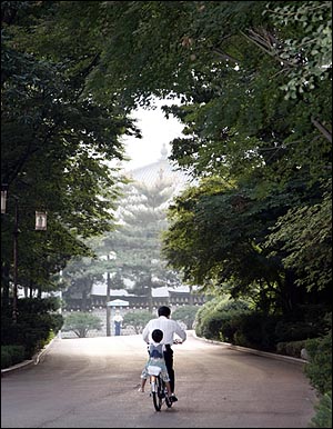 청와대에서 휴일  손녀와 자전거를 타고 있는 대통령. (2007.9.13)