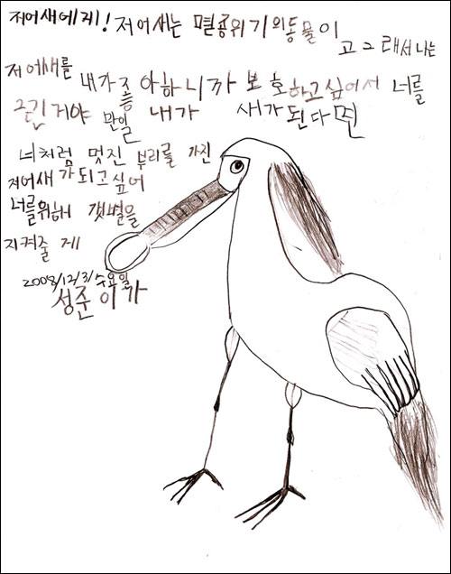 청량초등학교 박성준 학생이 그린 저어새 그림과 저어새에게 보내는 편지다. "만일 내가 새가 된다면 너 처럼 멋진 부리를 가진 저어새가 되고 싶어 너를 위해 갯벌을 지켜줄께"라는 말에 초등학생의 간절한 마음이 담겼다.