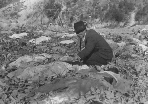 1950. 11. 14. 함흥 덕산에서 학살된 시신더미에서 아들을 찾고 있는 아버지.