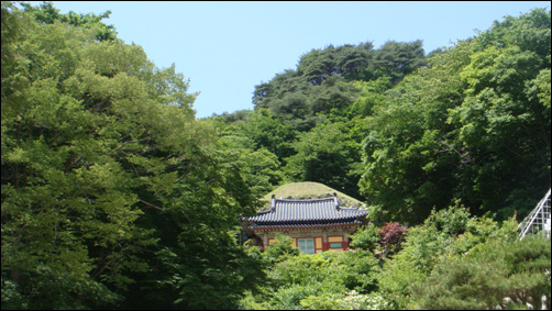 토함산의 석굴암 전경 '기본에 항상 충실하라'는 말이 있듯이 석굴암을 다시 찾았으나 본존불인 '석가여래좌상'만을 휙 둘러보고 내려왔다.