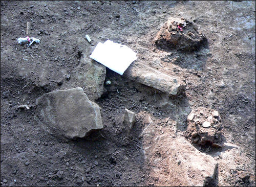 유해 부근에 널려 있는 돌덩이. 상단 푸른색이 탄피이고 오른쪽 둥근 형태는 희생자의 두개골이다.
