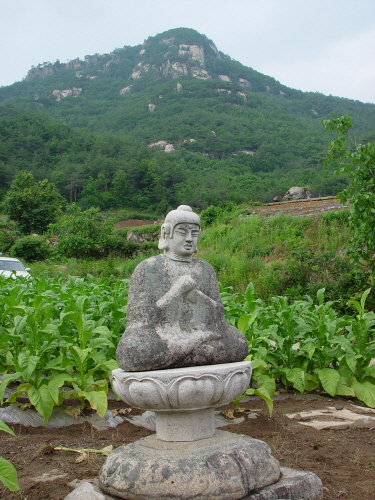  황장산을 배경으로 앉아 있는 동로면 생달리 석불좌상