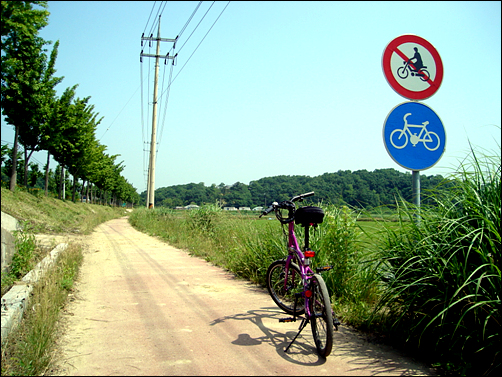 도심 자전거도로에서는 이런 표지판도 쉽게 볼 수 없다.
