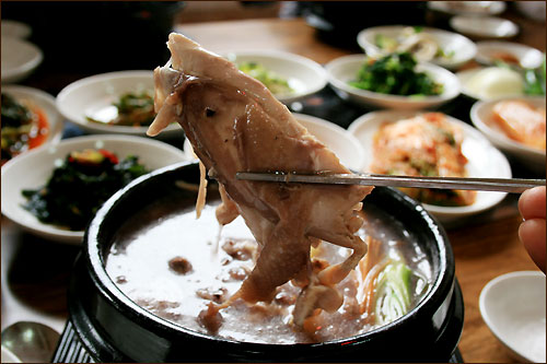 맛고을 흑미삼계탕, 맛 한번 보면 정말 깜빡 간다. 