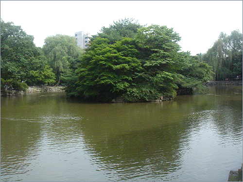 춘당지(서울 종로구 와룡동)는 활을 쏘고 과거를 보던 춘당대 앞에 있는 연못이라는 데서 붙여진 이름이다
