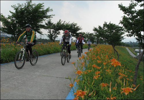 원추리꽃이 핀 서시천 둔치 길을 따라 자전거 동호인들이 하이킹을 즐기고 있다.