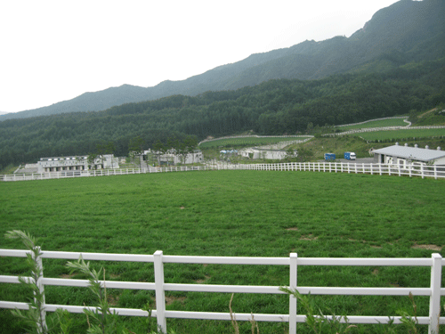 경주마 목장 장수 경주마 목장에 드넓게 펼쳐져 있는 초원