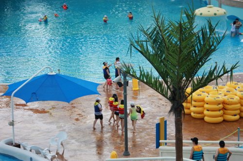 시원한 물놀이의 계절! 여름이 찾아온 가운데 디오션 워터파크 리조트에 물놀이를 즐기고 있는 모습이 이채롭다.
