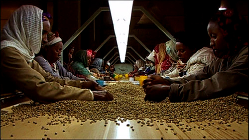  커피시장을 지배하는 네슬레 등 다국적기업들 때문에 커피가격이 폭락해 빈곤과 기아가 되물림 되고 있다. 출처 : 영화 블랙골드